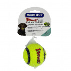 PETTEN7